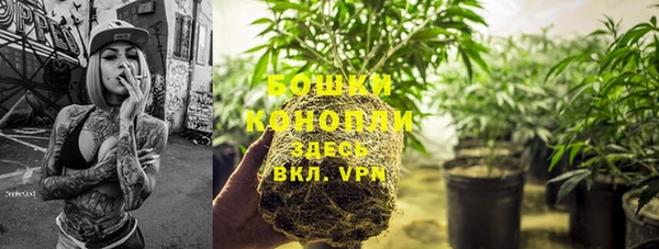 ГАЛЛЮЦИНОГЕННЫЕ ГРИБЫ Балабаново